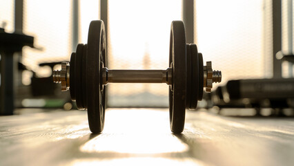 dumbbell or barbell in the gym