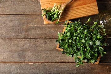 Basket with fresh micro green sprouts and decanter of oil on wooden background