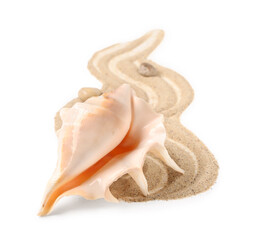 Composition with beautiful seashell, pebbles and sand on white background