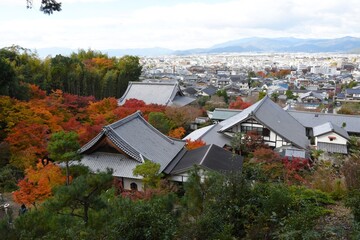 Japan landscape background