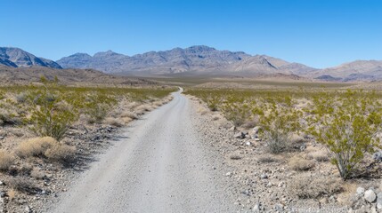 Fototapeta premium Desert Road to Mountain Vista: A Scenic Drive through Arid Landscape