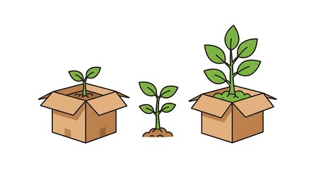 Seedlings Growing in Cardboard Boxes, Plant Development Stages