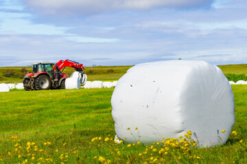 Bale of hay wrapped in plastic foil, Norway © Voyagerix
