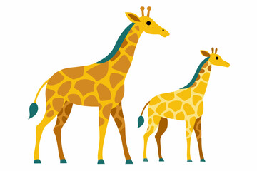 giraffe isolated on white