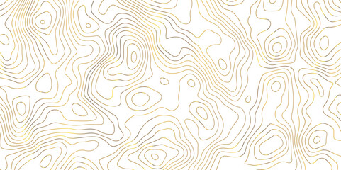 abstract golden topographic line Background of the topographic map. Topographic map lines, contour background. Geographic abstract grid.