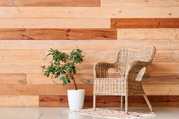 Wicker armchair with plant and rug near wooden wall in room