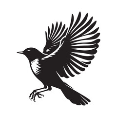  American Robin bird silhouette vector art illustration. American robin bird species vector design.