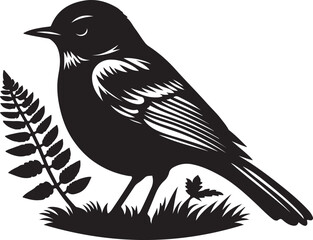  American Robin bird silhouette vector art illustration. American robin bird species vector design.