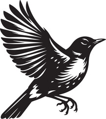  American Robin bird silhouette vector art illustration. American robin bird species vector design.