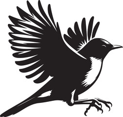  American Robin bird silhouette vector art illustration. American robin bird species vector design.