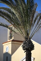 wieża kościoła palma niebieskie niebo krzyż Jezus © Miroslaw