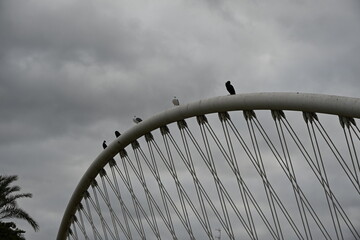 przęsło most nowoczesny biały ptaki gołębie niebo stal metal  © Miroslaw