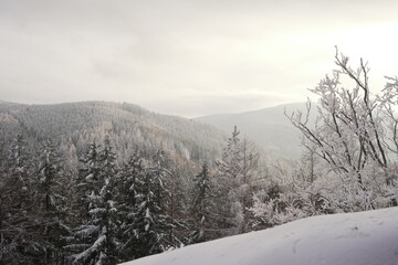 winter landscape in the mountains