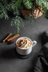 Hot chocolate with with whipped cream, cinnamon and anise in a white mug on a dark background