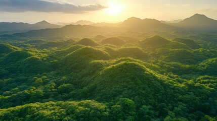 Naklejka premium Aerial View of Lush Forest with Studio Lighting Effects
