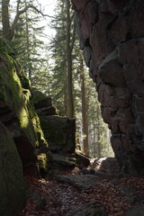 waterfall in the woods