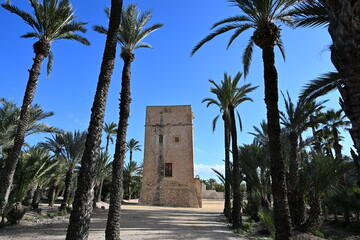 stara kamienna wieża na tle nieba i palmy © Miroslaw