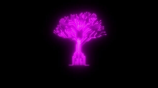 Circuit board tree animation with glowing pink color  neon line . Digital circuit board internet connection concept. Computer motherboard system. lines and square social network and connecting.