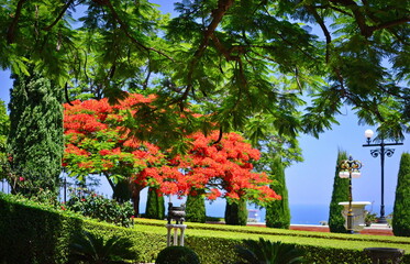 Haifa, Israel. The Bahai Gardens on Mount Carmel. The most visited tourist attraction in Israel.