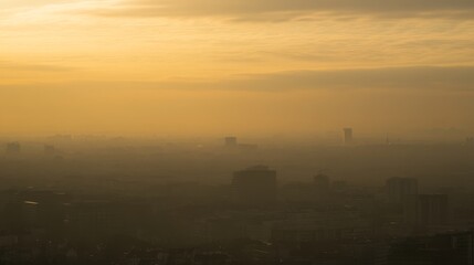 Overcast Golden Hour in Urban Park Landscape
