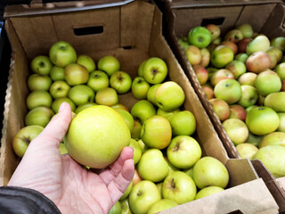 Fresh green apples being selected at a local market in autumn