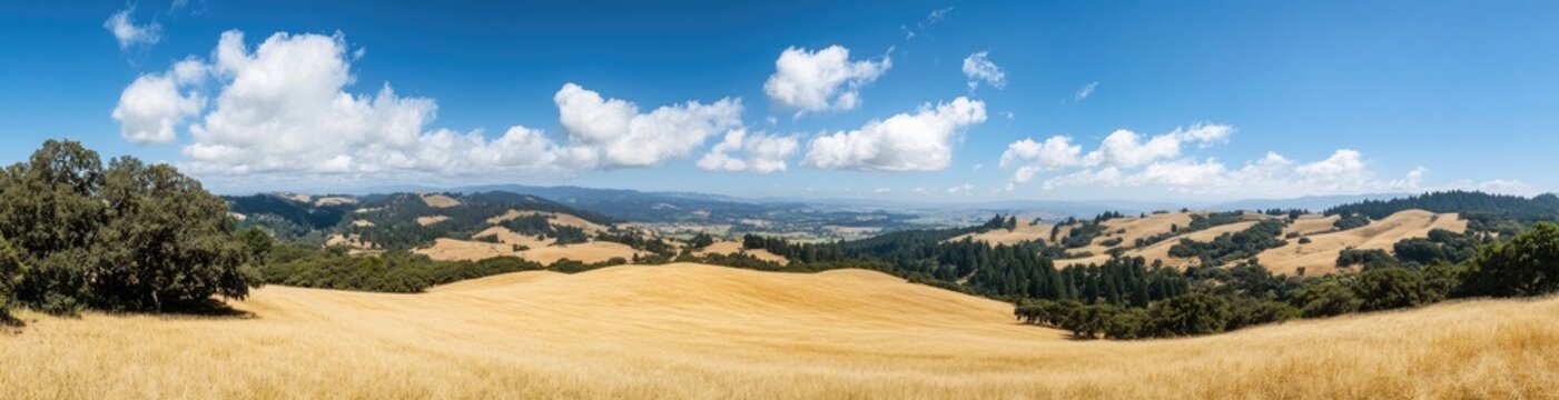 Panoramic shot of an expansive field with golden wheat, rolling hills, and forested distant hills, under a blue sky with white clouds