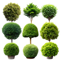 set of trees    isolated on transparent background
