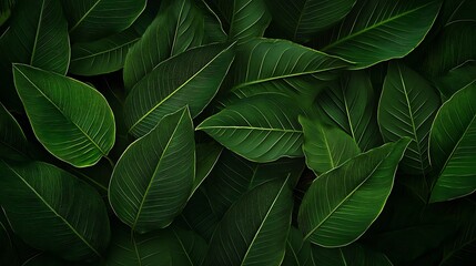 Obraz premium abstract tropical leaf patterns with rich green tones and sharp outlines 