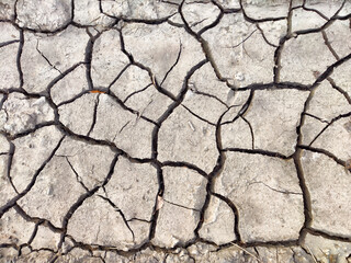 Dry cracked earth reveals texture and patterns in a drought-stricken landscape