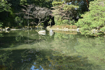 平安神宮　中神苑　蒼龍池(京都市左京区)
