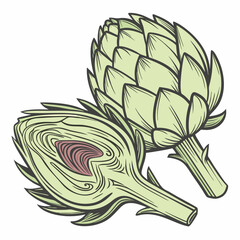 artichoke isolated on vector