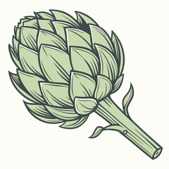 artichoke isolated on vector
