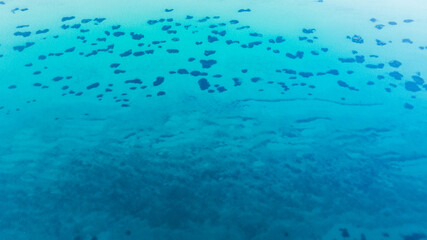 Aerial photo of shallow sea waters