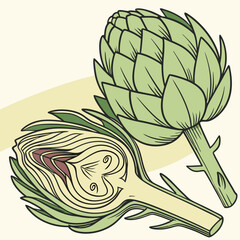 illustration of artichoke