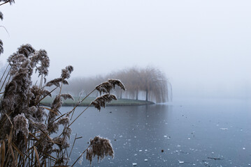 Frozen Island in the distance