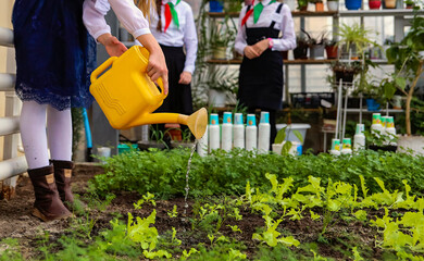 Young gardener watering plants in a greenhouse while peers observe during a gardening session