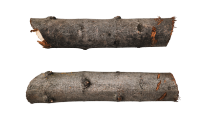 Set of thick rough cut tree branches with knots isolated on white background.