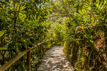 Path to Marinka waterfalls near Minca, Colombia