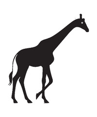 Giraffe silhouette vector with white background