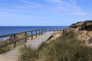 Obraz premium Blick auf die Küstenlandschaft bei Kampen auf der Nordfriesischen Insel Sylt