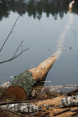 Jezioro Biale i Jezioro Czarne, k. Wydmin, Mazury, Polska, 21-28 grudnia 2024, fot. Jarek Zuzga © Jarek Zuzga