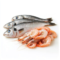 fresh fish on white background