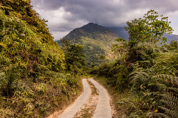 Road in a forest near Minca, Colombia..