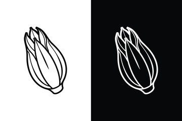 Endive icon vector on White Background ,Vector Art Illustration on white background.