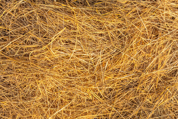 Beautiful horizontal texture of dry yellow and orange hay