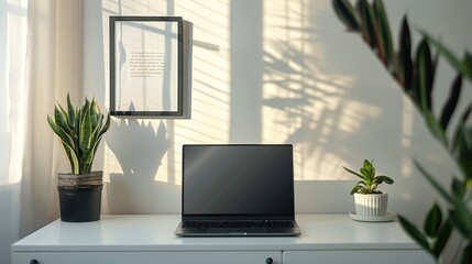 Laptop on white desk with plants and sunlight.