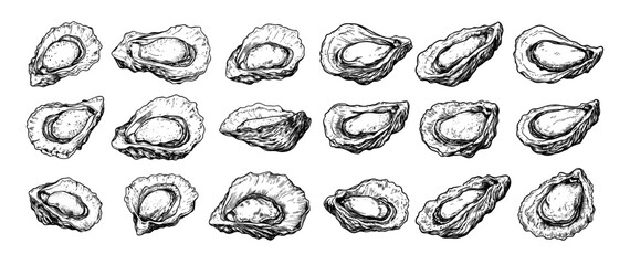 Oysters engraving vector set. Seafood shell fresh luxury, bivalves clams mussels mollusks ocean marine restaurant food, hand drawn sketch black monochrome isolated vectors