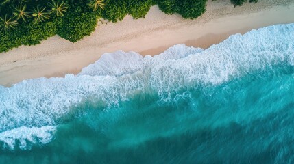 Aerial view of tropical beach with turquoise water and waves gently lapping the shore.