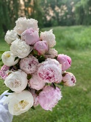 Peony Bouquet in Mixed Pink and White with Lush Green Nature Background - Stock Photo