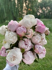 Peony Bouquet in Mixed Pink and White with Lush Green Nature Background - Stock Photo